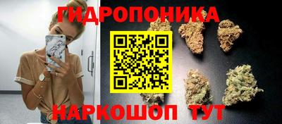 молекула духа Мариинск