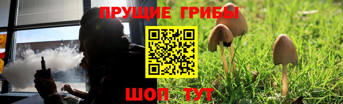 Галлюциногенные грибы Psilocybe  Псилоцибиновые грибы MAGIC MUSHROOMS  Верхняя Пышма  Вход с VPN 